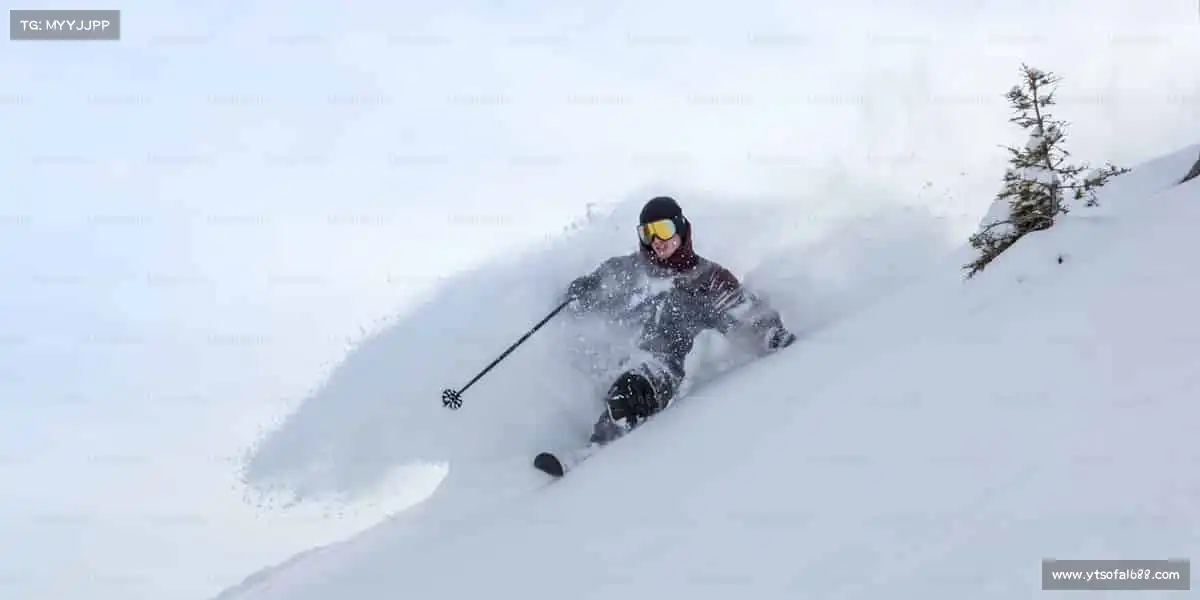 为什么选择我们